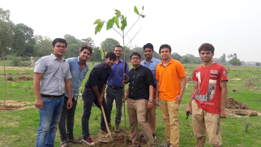 Tree Plantation